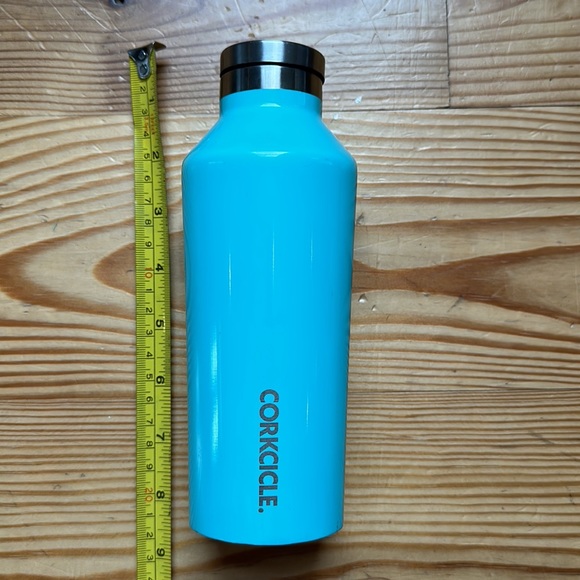 CORKCICLE 8.5” mint canteen - Picture 2 of 3
